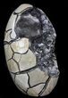 Polished Septarian Geode Sculpture #37136-1